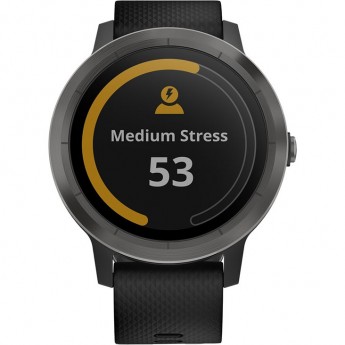 Часы GARMIN VIVOACTIVE 3 черные с черным ремешком