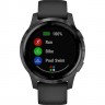 Умные часы GARMIN VIVOACTIVE 4S BLACK/SLATE 010-02172-14
